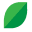 Trimleaf Icon