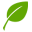 Paranatura Icon