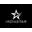 IRONSTAR Icon