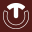 Therm-ic Icon