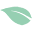 EcoDring Icon