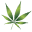 Redfoood24 Icon