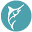 Tom's Catch Icon