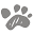 Paws and Pals Icon