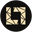 LAQVID Icon
