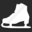 Skates Guru Icon
