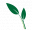 Natural Green Foods Icon