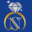 North and South Jewelry Icon