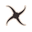 Nexxus Icon