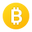 Only 21 Million Icon