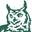 Owl in a Towel Icon