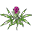 Little Flower Hemp Icon
