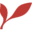 Leavesandtwigs.co.za Icon
