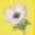 Matildas Bloombox Icon