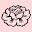 Ivory Paper Co Icon