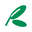 Key Leaves Icon