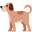 Sundays Food for Dogs Icon
