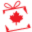 Online Gifts Canada Icon