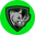 Rhino USA Icon