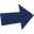The Van Insurer Icon