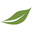 The Spice Way Icon