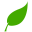 Pirate Botanicals Icon