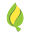 Quirky Leaf Icon