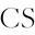 The Canva Template Shop Icon