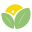 Wellness Gum Icon