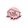 Nailtique Icon