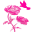 Spring Always Icon