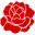 Camellia Print Icon