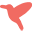 Birddogsshorts Icon
