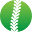 Backbone Cushion Co. Icon