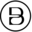 Big Bold Health Icon