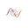 VivaRays Icon