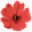 Common Heir Icon