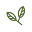 Thewalnuttree Icon
