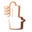 Copper Pro Icon