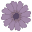 Wildflowers by Sarah Icon