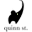 Quinn St. Icon