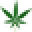 panpestka Icon