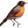 Thebirdhousechick Icon