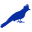Cuco Blue Icon