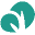 Dermoplant Icon