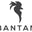 Bantam Clothing Icon