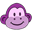 Paisleymonkey.com Icon