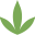 Zcann Icon