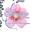 Hydrangeas Boutique Icon