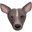 Amy Zhang Icon